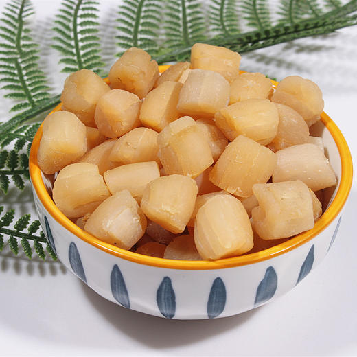 【湛江帮扶】廉心瑶柱 202g 商品图2