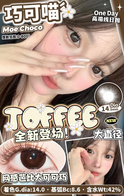 Toffee 天然呆/巧可喵 10片/盒（日抛型） 商品图0