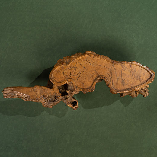 清 瘿木雕灵芝如意器座 商品图2