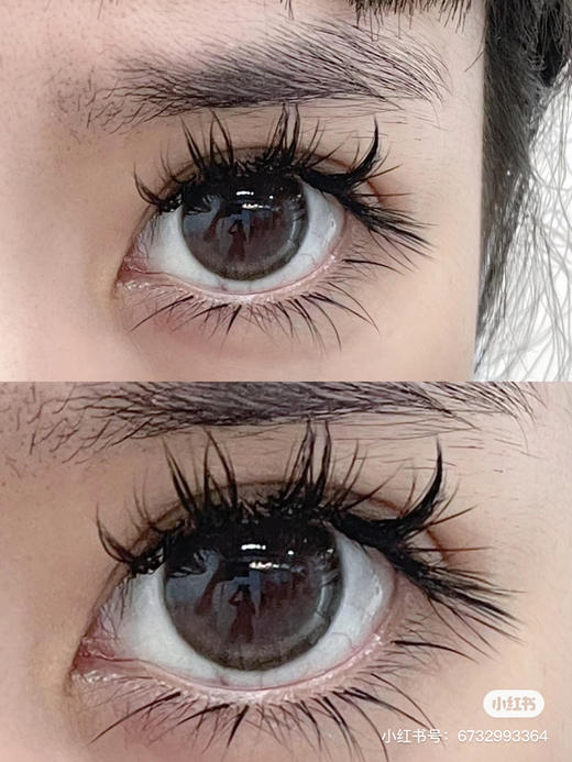 【店主实拍】Sheepcon白兰地灰-14.5mm 【年抛 度数0-1000度 无525/575】 商品图2