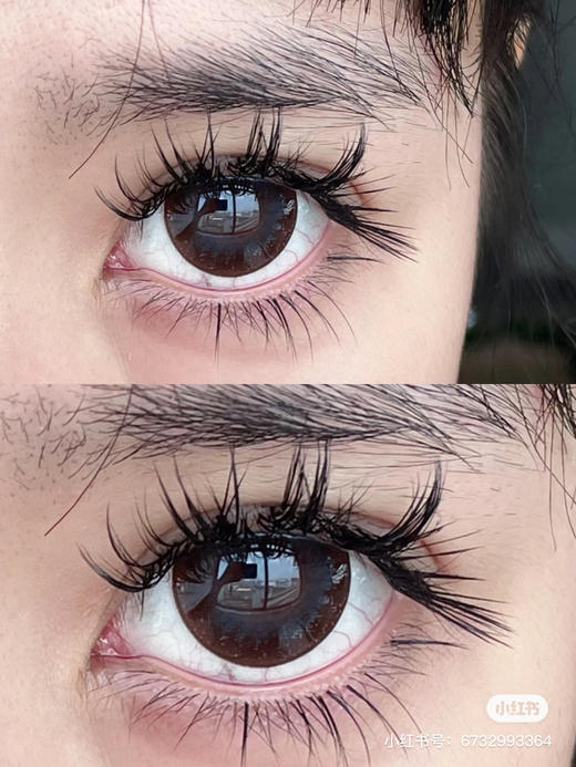 【店主实拍】Sheepcon大萝莉灰-14.5mm 【年抛 度数0-1000度 无525/575】 商品图1