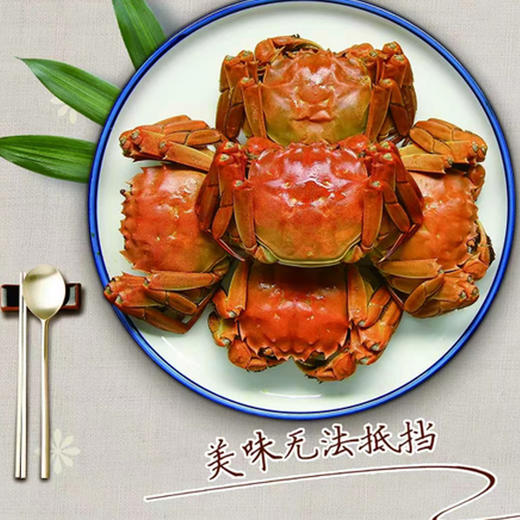 臻选级2388型洪泽湖大闸蟹8只（公蟹4.5-4.9两，母蟹3.0-3.4两） 商品图0