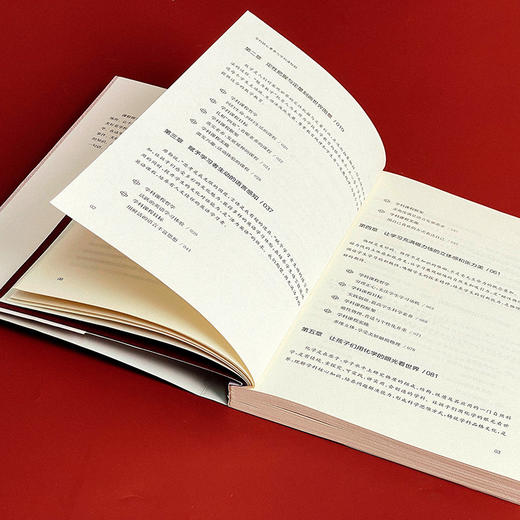 学科核心素养与学科课程群 学校课程深度变革丛书 核心素养  初中案例  跨学科整合的课程体系 商品图6