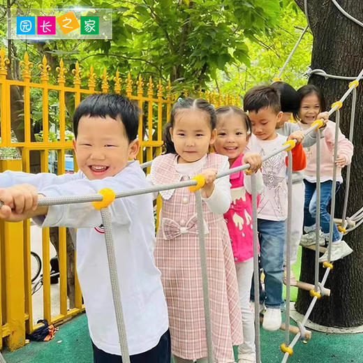 自主游戏—平衡荡桥 商品图2