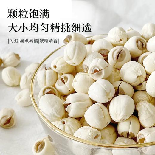 【建宁通心白莲】250克/袋 可以生吃的“脾之果”； 莲子 商品图7