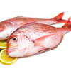 真鲷	Red Sea Bream 400-600g/条 商品缩略图0