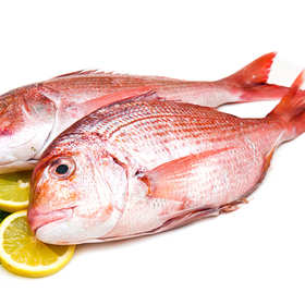 真鲷	Red Sea Bream 400-600g/条