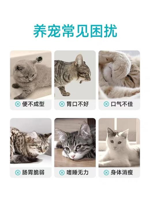 爱尔科复合活性益生菌 商品图1