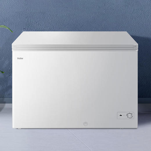 【海尔BC BD-300GHD】海尔300升低霜冰柜家用商用 冷藏柜大冷冻柜大容量冰柜商用大冷柜BC BD-300GHD 商品图0