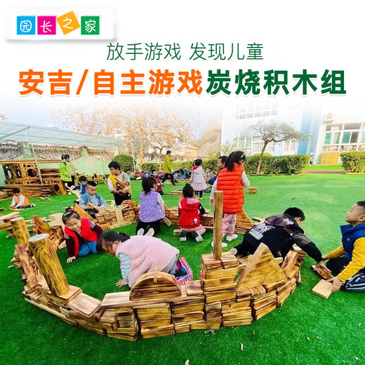 安吉游戏炭烧积木组 商品图0