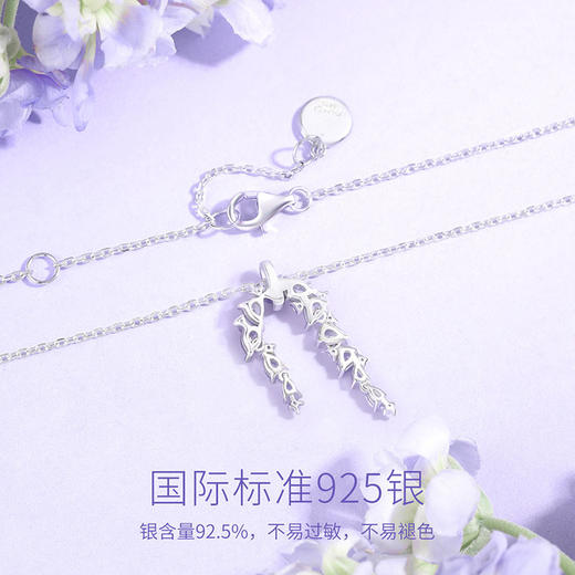【明星同款】紫藤相依【项链】Fanci范琦 紫藤花系列 925银饰轻奢生日礼物  商品图2