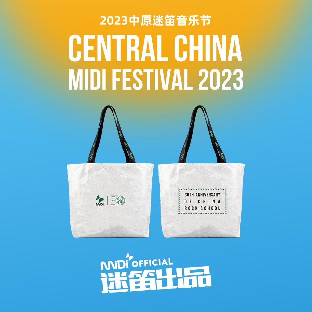 迷笛学校30年主题杜邦纸袋