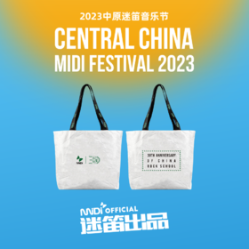 迷笛学校30年主题杜邦纸袋