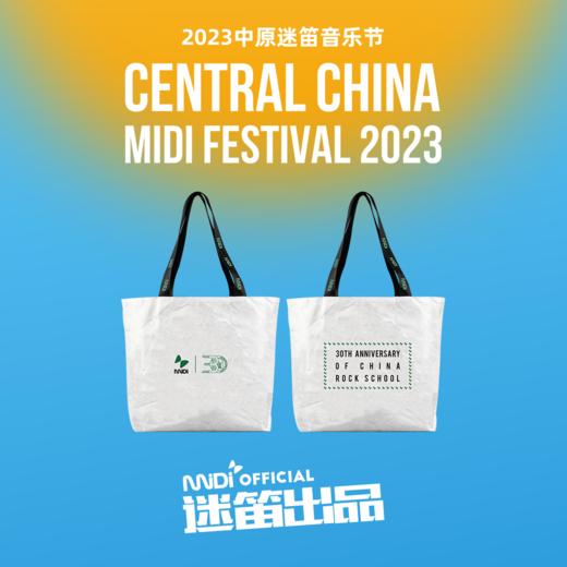 迷笛学校30年主题杜邦纸袋 商品图0