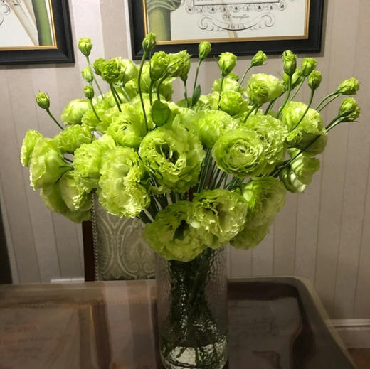 【佳海花业】洋桔梗  翠绿桔梗 四合一（700-800g） 颜色深浅略有差异 以实物为准 云南基地发货（价格已包含包装费用） 运费以实际为准，多退少补。 商品图0