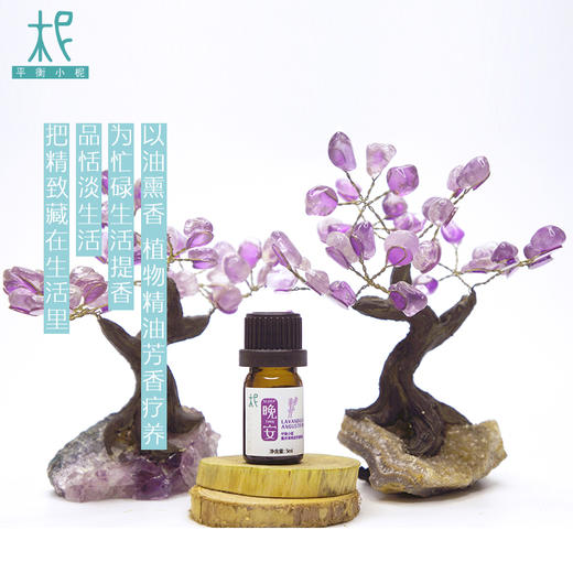 柅·芳香疗愈  身心情绪疗愈 套盒 扩香机高端商务礼盒 商品图2