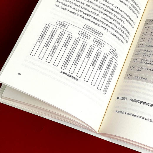 以素养为核心的学科课程图谱 学校课程深度变革丛书 核心素养落地 杨龙 全学科课程设计 全学科课程图谱 落地学科核心素养 初中案例 商品图11