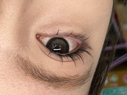 Yukicon日抛新品-黑森林（10片） 商品图8