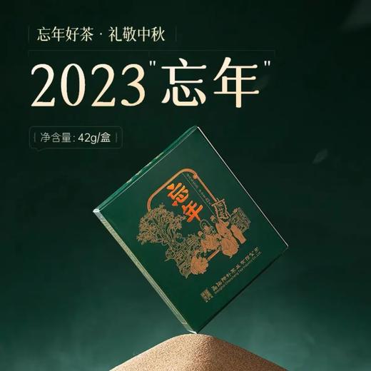 【品鉴套装】陈升号 2023年蜜境42g+2023年忘年42g普洱生茶+2022年一品陈升196g 商品图4