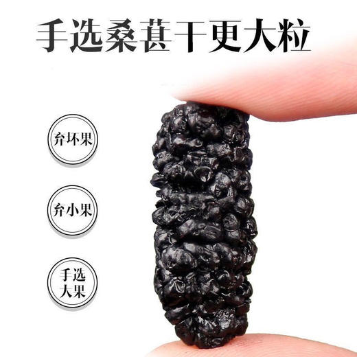 桑葚干新疆免洗无沙黑桑葚干桑椹子头茬大果 手工选择 直接嚼着吃 商品图3