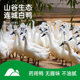 【连城白鸭】仿野生养殖，肉质鲜嫩，汤味清醇，无腥味，不油腻，营养更美味