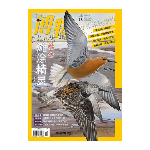 《博物》202310 鸻鹬类水鸟 暴龙超科崛起之路 非洲纳米布沙漠猎游 中国青铜剑 石榴 商品图1
