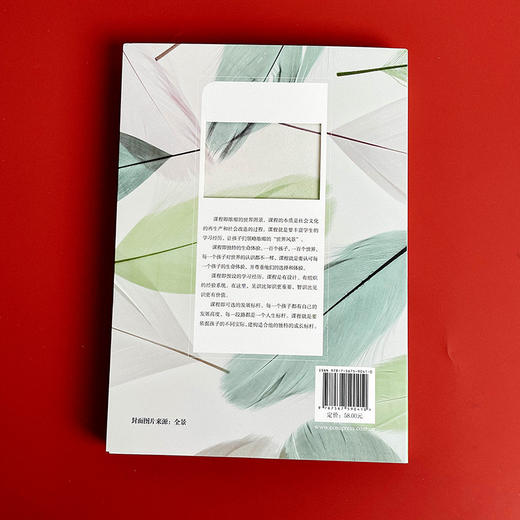 以素养为核心的学科课程图谱 学校课程深度变革丛书 核心素养落地 杨龙 全学科课程设计 全学科课程图谱 落地学科核心素养 初中案例 商品图2