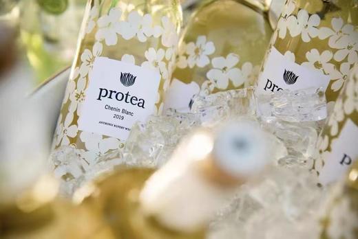 帝王花白诗南干白葡萄酒 Anthonij Rupert 'Protea' Chenin Blanc 商品图1