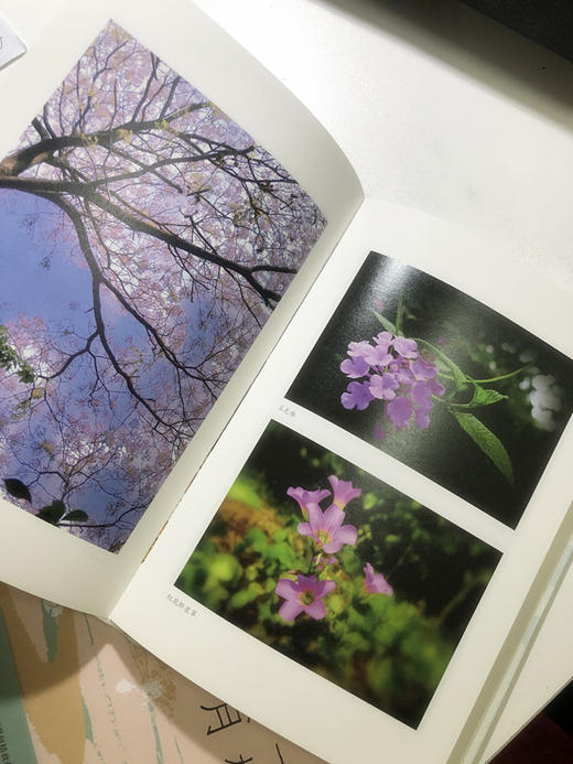 【毛边签名本】一树梅花一溪月 潘小娴著 商品图5