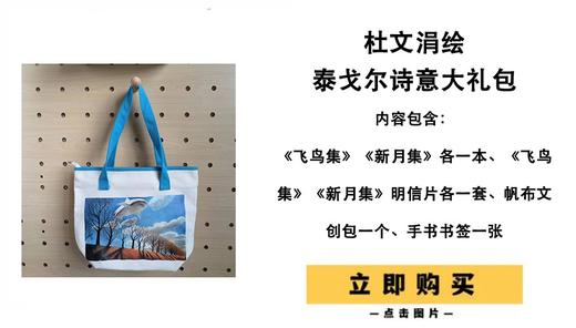 杜文涓绘泰戈尔诗意大礼包 商品图0