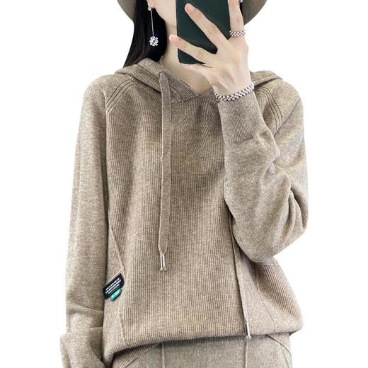 新款2023秋季风气质安迪绒套头厚连帽宽松型毛衣女式针织衫 商品图4