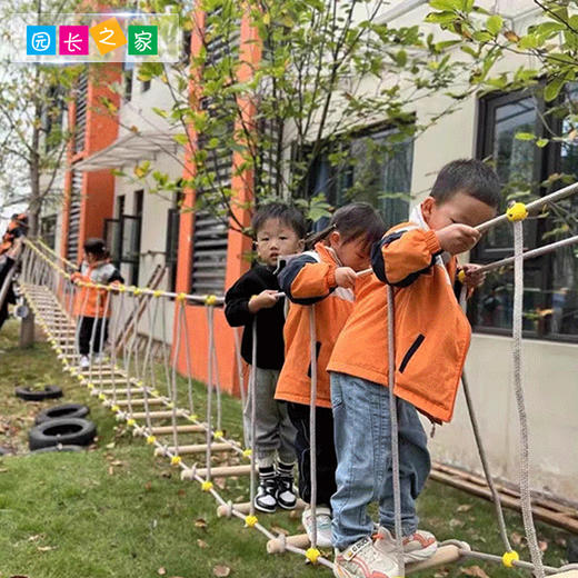 自主游戏—平衡荡桥 商品图3