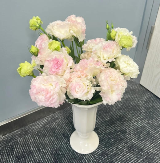 【佳海花业】洋桔梗  冰淇淋   800g/扎  颜色深浅略有差异 以实物为准 云南基地发货（价格已包含包装费用） 运费以实际为准，多退少补。 商品图2