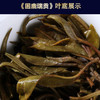 2020明前春茶-困鹿瑞贡普洱生茶饼357克 商品缩略图7