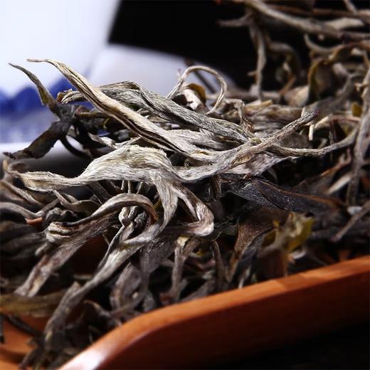 2020明前春茶-困鹿瑞贡普洱生茶饼357克 商品图6