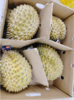 都乐榴莲一箱 商品缩略图1