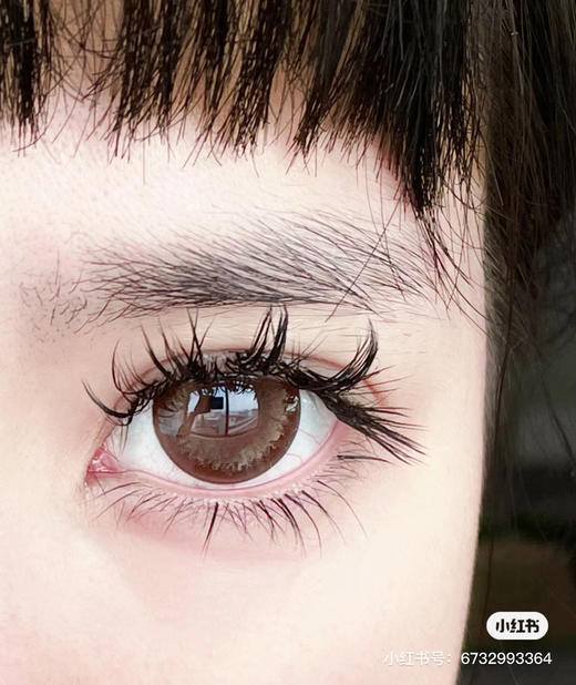 【店主实拍】AgensColor-波斯菊棕- 14.5mm 【年抛 0-1000度 无525/575】 商品图1