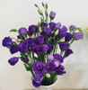 【佳海花业】洋桔梗  紫色  四合一（700-800g） 颜色深浅略有差异 以实物为准 云南基地发货（价格已包含包装费用） 运费以实际为准，多退少补。 商品缩略图2
