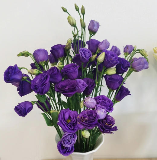 【佳海花业】洋桔梗  紫色  四合一（700-800g） 颜色深浅略有差异 以实物为准 云南基地发货（价格已包含包装费用） 运费以实际为准，多退少补。 商品图2