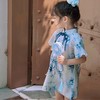 裁缝学苑TS14改良立领旗袍裙纸样儿童中国风裙子女童裁剪衣服样板 商品缩略图3