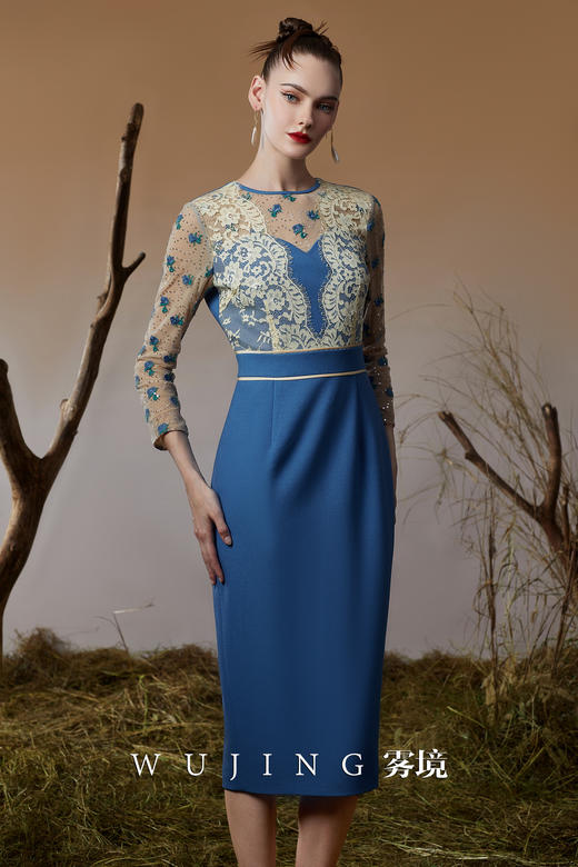 3203030 青蓝冰水 进口亮丝斜纹\股线亮片刺绣网纱连衣裙 雾境 商品图4