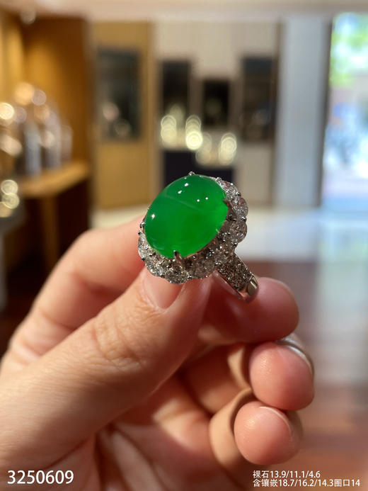 老坑玻璃种艳绿蛋面戒指【3250609】具体价格微信咨询 商品图0