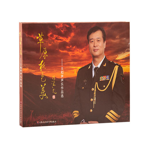 草原夜色美——王和声声乐作品选(4CD) 商品图0