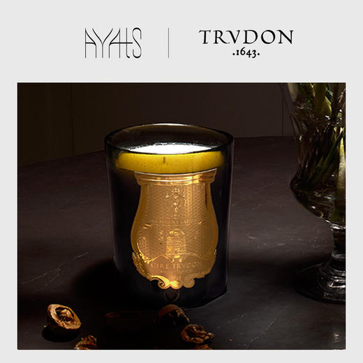 法国Cire Trudon经典系列香薰蜡烛家用持久香氛 商品图0