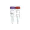 VAHTS Maxi Unique Dual Barcode Primers Set 1 - Set 4 for MGI 商品缩略图0