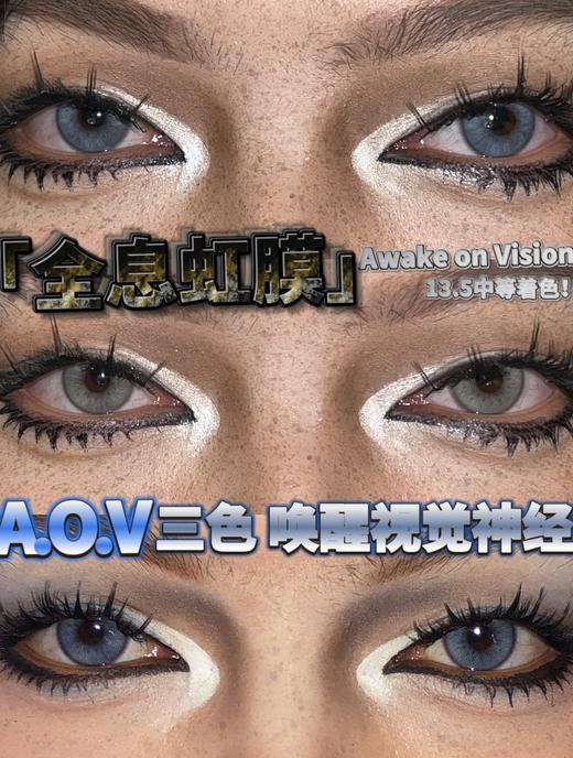 ginomii 半年抛美瞳 AOV青蓝 直径14.5mm着色13.5mm 商品图10