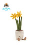 Jellycat 趣味水仙花 商品缩略图2