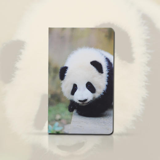 线上限定-熊猫手账本 商品图0
