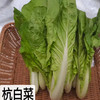 【自营】高原有机杭白菜 250g  ±10g 商品缩略图1