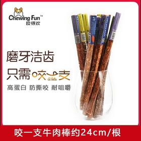 咬得欢咬一支狗狗磨牙棒洁齿零食奖励宠物补钙牛肉味24cm/根